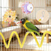 Parakeet Toys Set 8 Pcs Cotton Rope Hanging Swing Colorful Spinning Chewing Standing Perch Parrot Toys Bird Cage Accessories Bird Toy for Lovebird Cockatiel Budgie Finches