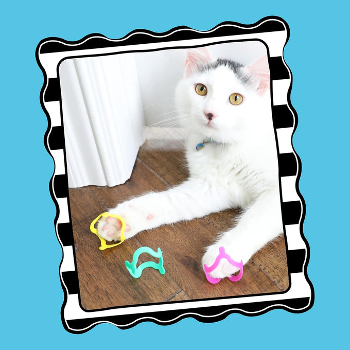 petmate catmate interactive cat toys cat crazies multi pack 4 count durable plastic