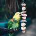 parakeet bird toys 2 pack cuttlebone beak grinding stone cage accessories for small birds