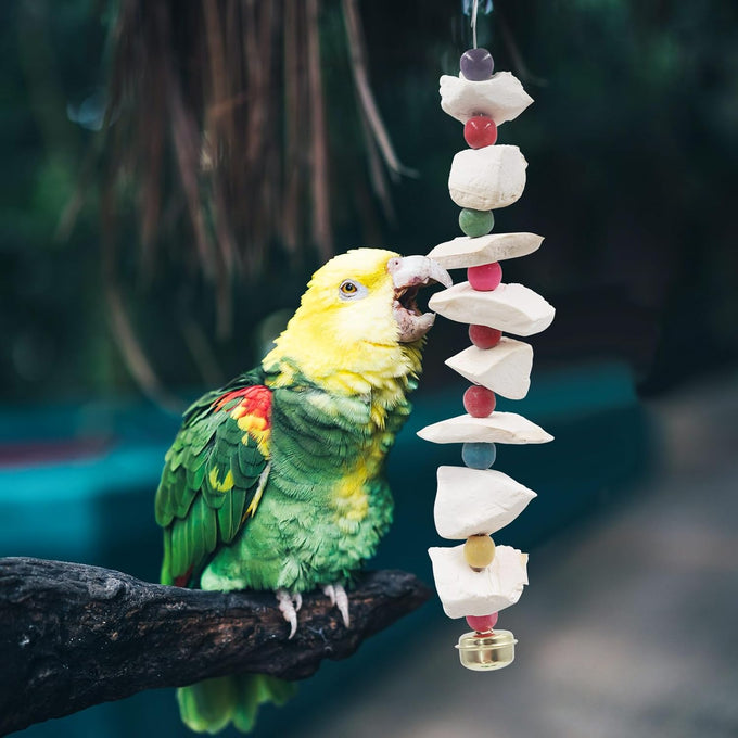 parakeet bird toys 2 pack cuttlebone beak grinding stone cage accessories for small birds