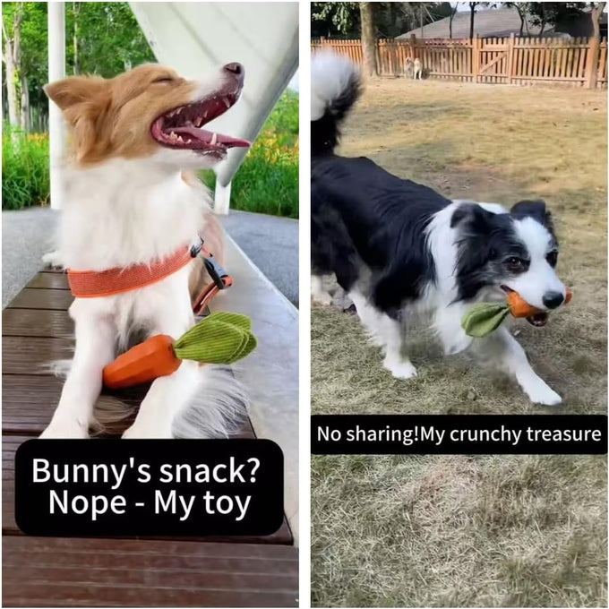 MewaJump Green Rubber Carrot Dog Squeaky Toys for Aggressive Chewers, 9x1.8 in, Milk Flavor, Puppy Dogs