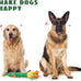 Nocciola 2 in 1 Easter Duck Dog Toy for Medium and Large Breeds with Rubber Squeaker and Crinkle Paper