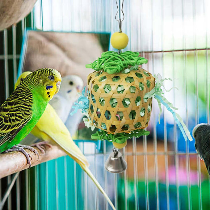 Bird Toys for Conures Parakeet birds cage accessories bird shredding foraging toys with natural rattan and apple wood