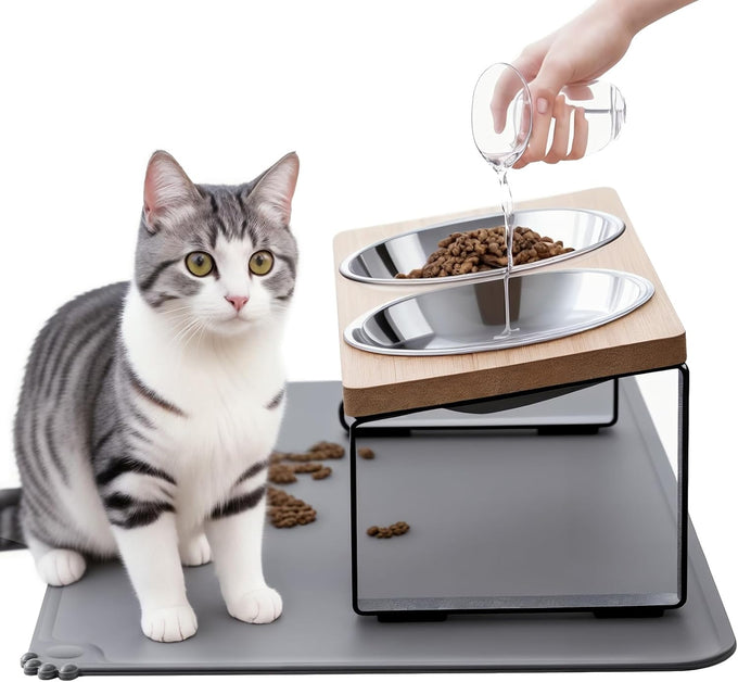 Upgraded 15°Tilted Stainless Steel Cat Bowls with Food Mat for Cats and Puppy