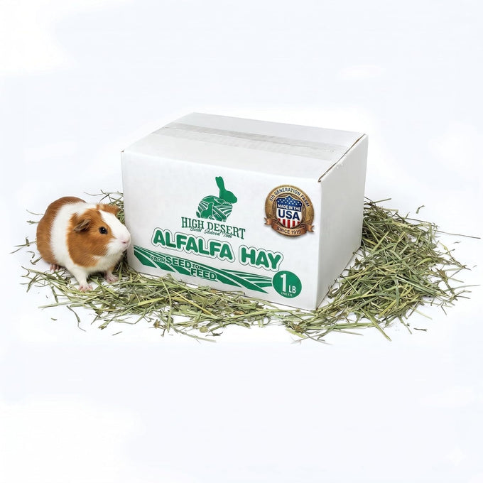High Desert Alfalfa Hay, Protein Rich, Natural Rabbit Food and Guinea Pig Hay, 1 Lb Box, Soft Leaf for Young Growing Animals
