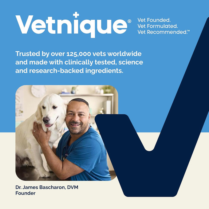 Vetnique Glandex Anal Gland Soft Chews with Pumpkin, Digestive Enzymes, Probiotics, Fiber Supplement for Dogs (Bacon Flavor, 60 Count)