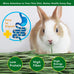 Premium Timothy Hay 2.2LBS 2 Pack Dust Free Natural Fresh Hay for Rabbits Tortoise Guinea Pig Chinchilla