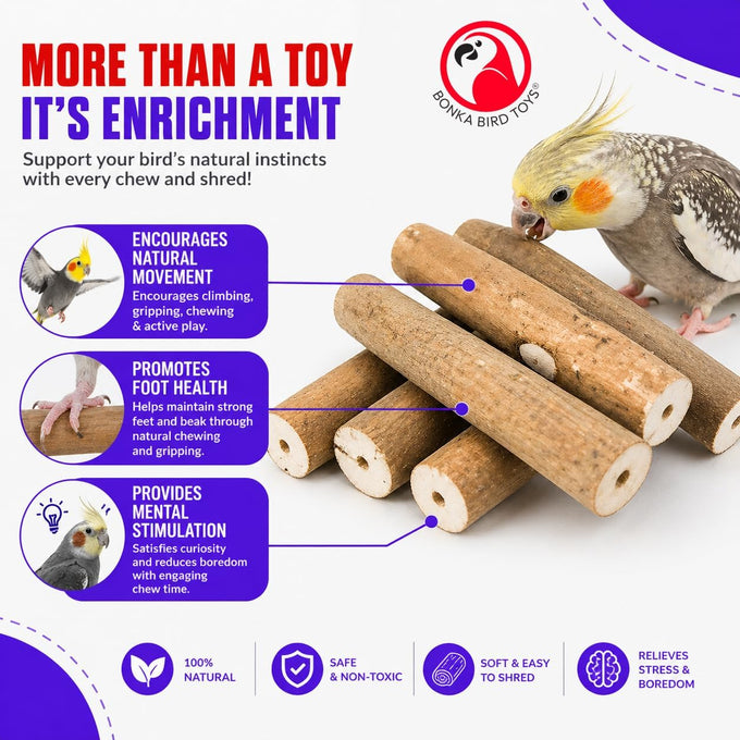 Bonka Bird Toys 1211 Pk6 6-pack natural sola sticks 3 long 1.25 diameter soft chew foraging toy