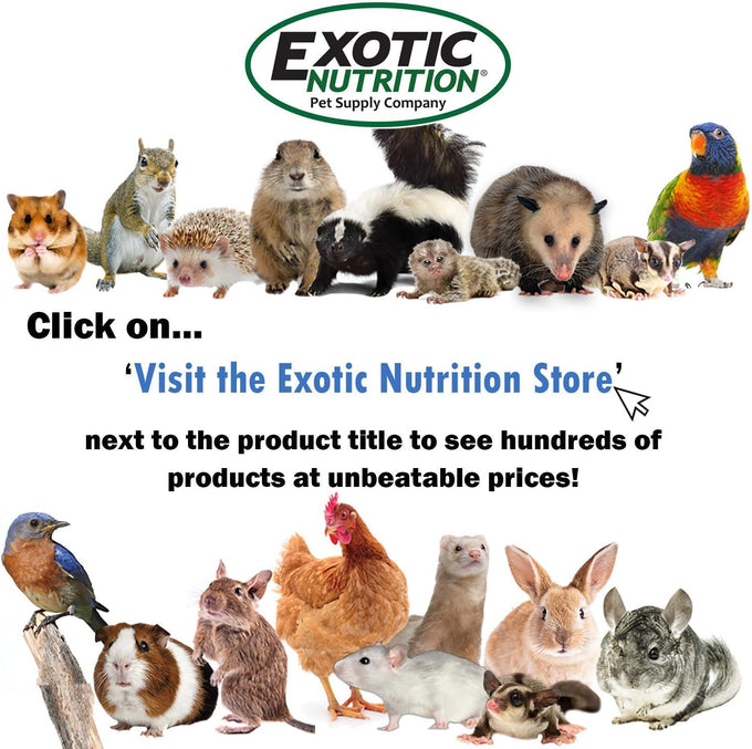 Natural Apple & Oat Puff Sticks for Small Pets - High Fiber, Variety, Dental Health, Oat Hay - 6 oz.