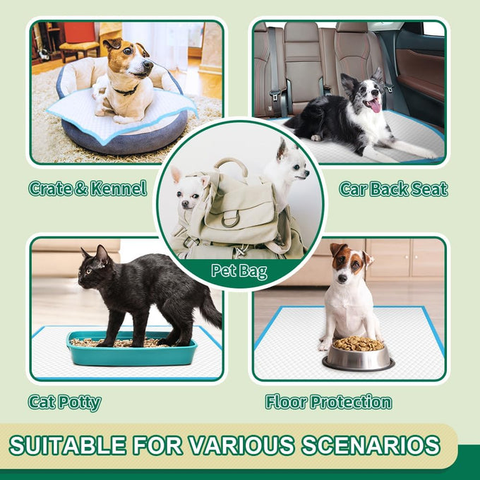 Immcute puppy pads 6-layer leak-proof 100 count 22x23 super absorbent pet training pads