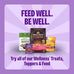 Wellness Old Mother Hubbard Classic Grain Free Mini Peanut Butter Banana Dog Biscuits, 16 oz Bag