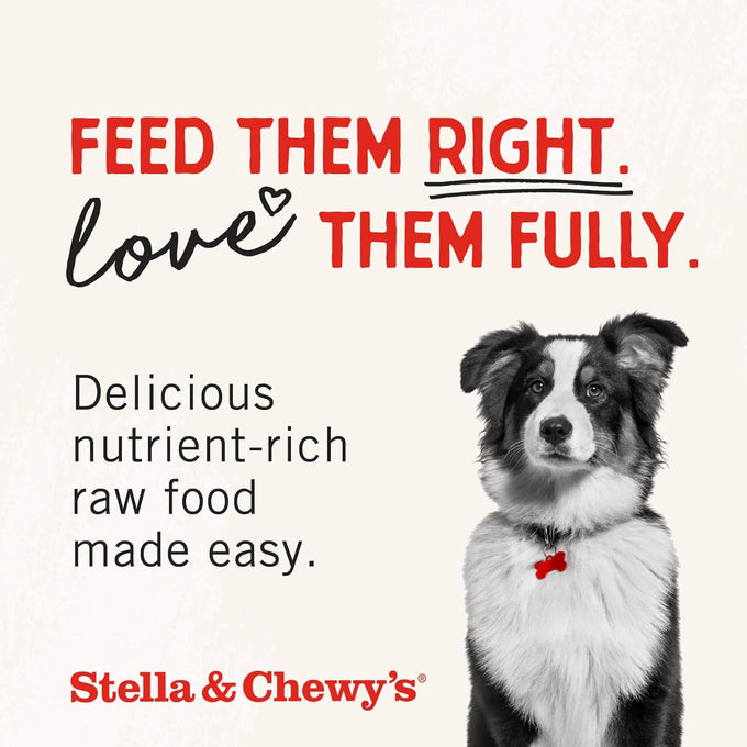Stella & Chewy's premium freeze-dried raw beef heart dog treats, single ingredient, no additives, 3oz bag, perfect for training and picky eaters
