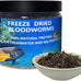 Jadingsfram freeze dried bloodworms fish food for freshwater saltwater tropical fish aquarium