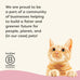 Applaws Vitality Wet Cat Food in Tuna Fillet & Shrimp Broth, Grain and Carrageenan Free, 24 Count, 2.47 oz Cans