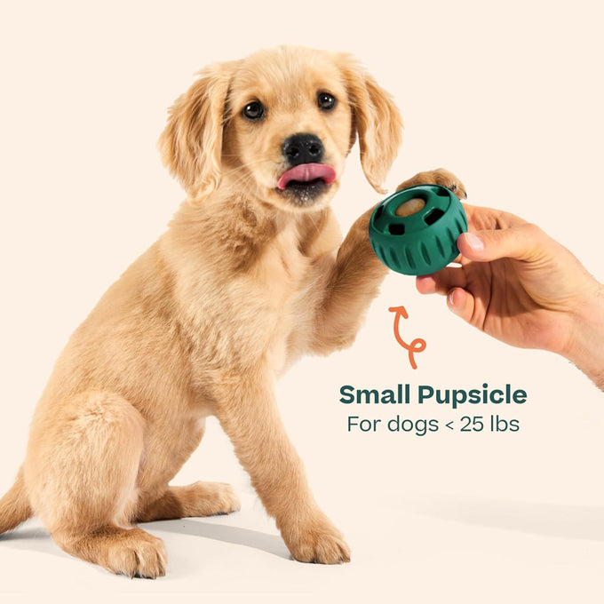 woof pupsicle long-lasting interactive dog ball toy for medium and large dogs 25-75 lbs