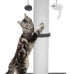 34-Inch heavy-duty grey cat scratching post with cotton rope and hanging ball for indoor cats