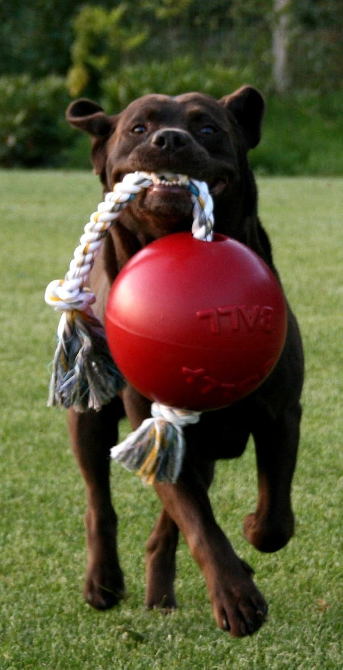 Jolly Pets 8-Inch Large Orange Romp-n-Roll Dog Toy for Large Dogs Made in the USA