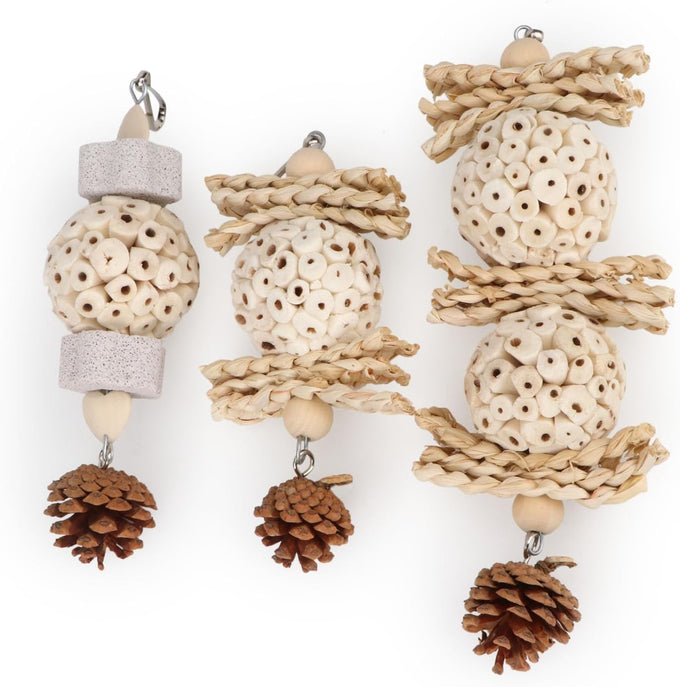 Wontee natural sola ball parrot foraging hanging toys, safe for cockatiels, conures, parakeets, budgies, senegal, 3 pack