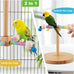 360°Rotating Bird Perch for Parrots, Wooden Stand for Small to Medium-sized Birds, 2-in-1 Cage and Tabletop Toy