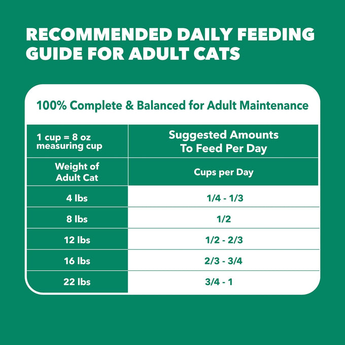 IAMS Proactive Health Senior Dry Cat Food, Cat Food Dry Chicken Recipe, Real Chicken in Every Bite, 7 lb. Bag