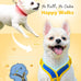 Pethroom Comfort-X Dog Harness 2.0 for Small Dogs, Soft Vest, No Choke, Easy On/Off with One-Touch Buckle