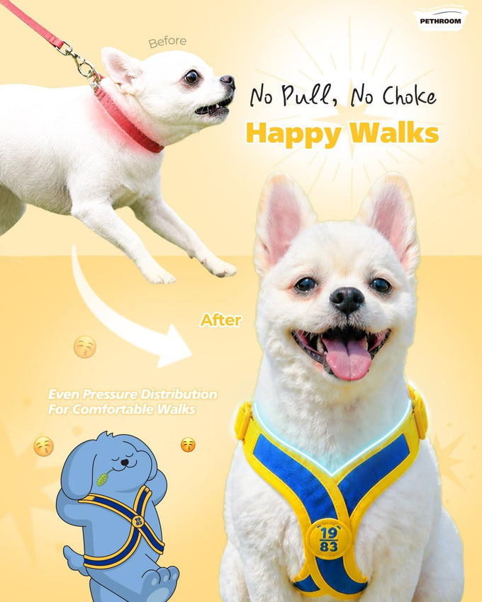 Pethroom Comfort-X Dog Harness 2.0 for Small Dogs, Soft Vest, No Choke, Easy On/Off with One-Touch Buckle