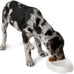 Petmate 23174 Double Diner Pet Dish, Small, Microban Coated, Dishwasher Safe, Non-tip Design