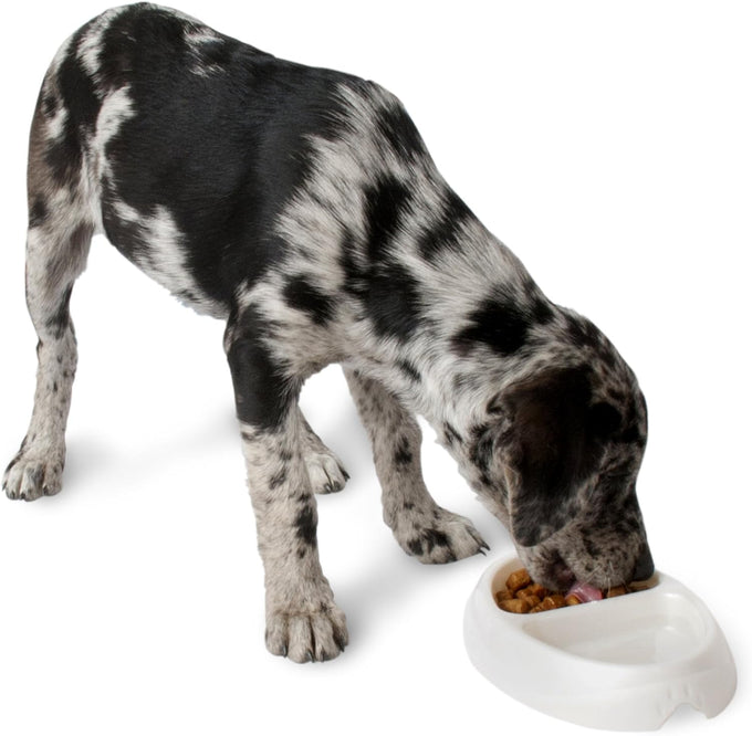 Petmate 23174 Double Diner Pet Dish, Small, Microban Coated, Dishwasher Safe, Non-tip Design