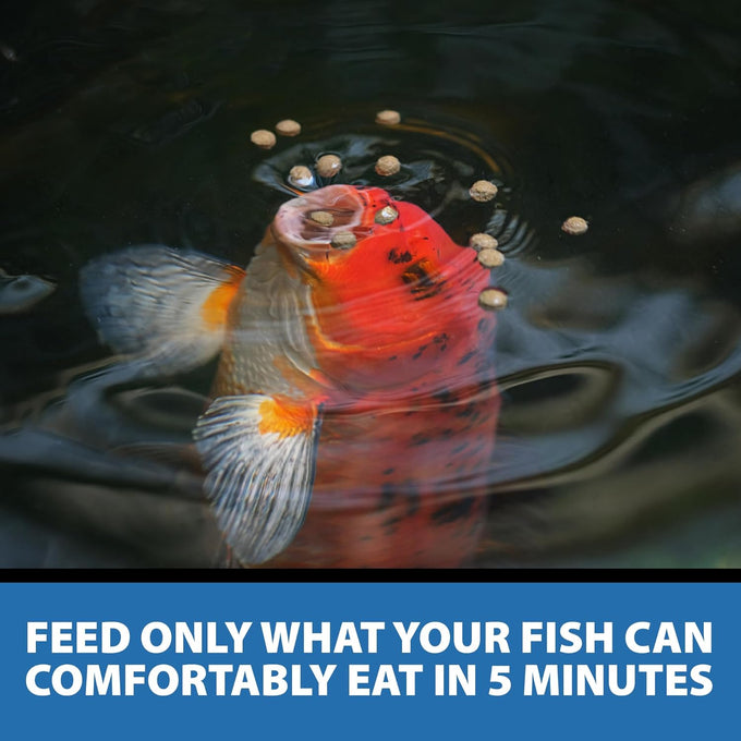 CrystalClear Staple Pond Fish Food 2.2 pound bag, 32% protein floating pellets for koi & goldfish