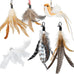 rosaui cat teaser wand toys, 42.15'' long, sustainable wooden handles, 2pcs wires and 5pcs natural refills, for indoor kittens