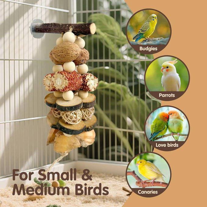 natural apple wood parrot chew toy multi-functional cage hanging foraging toy for small medium birds