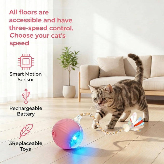 Rechargeable smart rolling cat ball with 3 modes, LED light and 3 replaceable accessories for kittens and adult cats