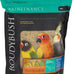 RoudyBush daily maintenance bird food, mini, 10-pound, parrot pellets for conures, lovebirds, and parakeets