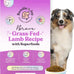 Bundle x Joy Vibrant Salmon Probiotic Dog Food Dry, 4lb Bag, Allergy and Gut-Friendly Adult Kibble for Digestive Health with Wild-Caught Salmon, 20 Plant Based Superfoods, Beef and Poultry Free