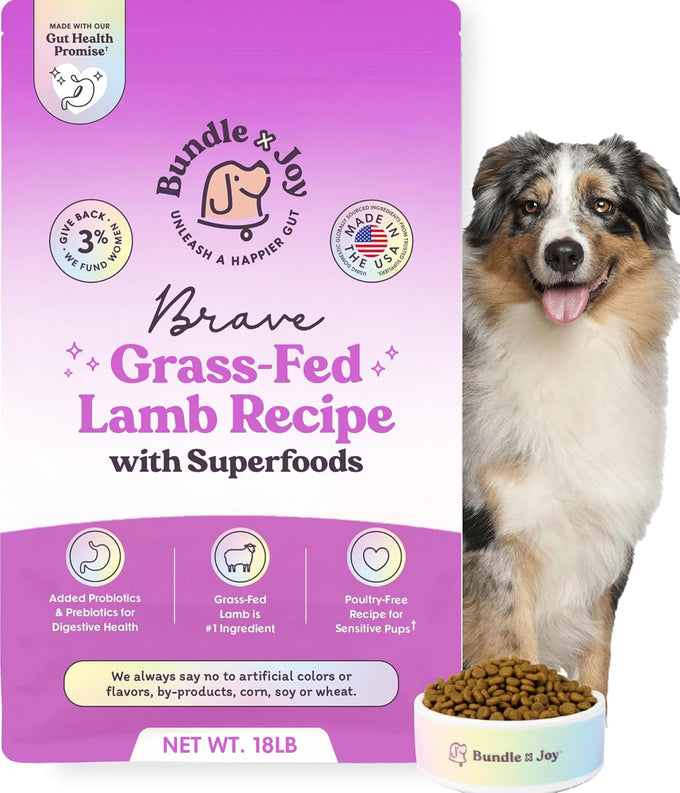 Bundle x Joy Vibrant Salmon Probiotic Dog Food Dry, 4lb Bag, Allergy and Gut-Friendly Adult Kibble for Digestive Health with Wild-Caught Salmon, 20 Plant Based Superfoods, Beef and Poultry Free