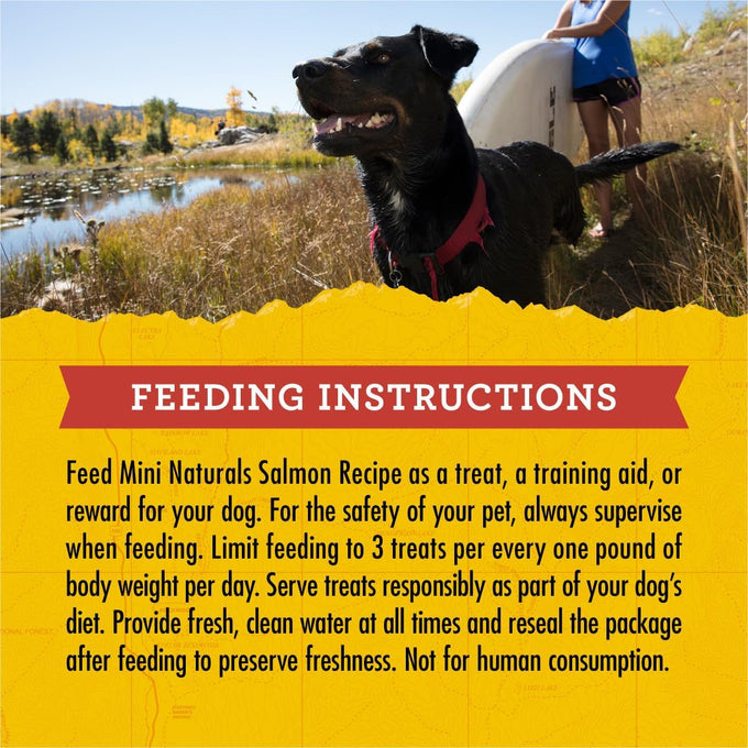 Zuke's Mini Naturals, 16 oz Resealable Pouch, Dog Training Treats with Real Salmon for Small to Large Dogs