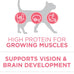 Purina ONE High Protein Natural Dry Kitten Food 7 lb Bag Plus Healthy Kitten Formula