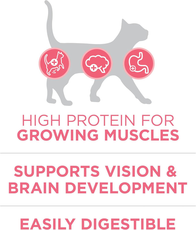Purina ONE High Protein Natural Dry Kitten Food 7 lb Bag Plus Healthy Kitten Formula