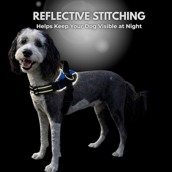 ShawnCo Essential Dog Harness for Small, Medium, and Large Dogs, No-Pull Pet Vest with 3 Leash Clips and Reflective Straps, Oceanic Blue, S
