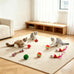 46 PCS cat toys for indoor cats kittens exercise, colorful spring toys crinkle mouse ball mint catnip gift