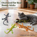 CiyvoLyeen Lizard Catnip Toys Soft Durable Plush for Indoor Cats Boredom Relief Teeth Cleaning Interactive Set of 4
