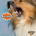 Fromm Crunchy Os Peanut Butter Jammers Dog Treats, Premium Crunchy Dog Treats with Peanut Butter