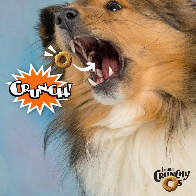 Fromm Crunchy Os Peanut Butter Jammers Dog Treats, Premium Crunchy Dog Treats with Peanut Butter