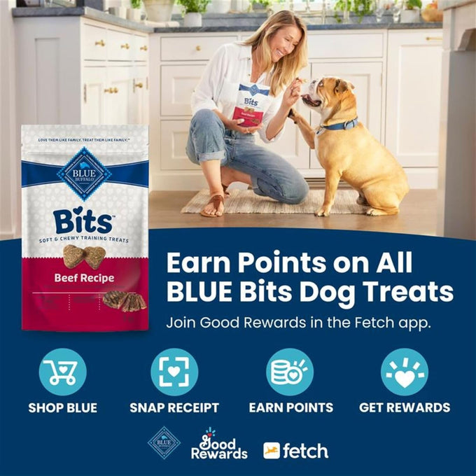 Blue Buffalo natural soft dog treats for training with real chicken, DHA, and wholesome ingredients, 19-oz bag
