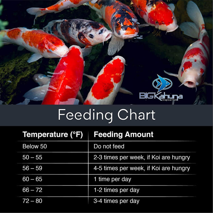 Kahuna Koi Fish Food for Ponds, 4.5lbs, Pellets, 3/16-1/4, Floating, Pond Fish Food, Made in USA