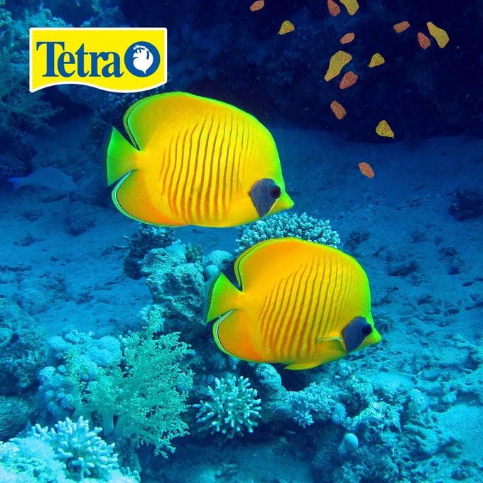 Tetra Min Large Tropical Flakes for Top/Mid Feeders, 5.65-Ounce, XL Tropical Formula