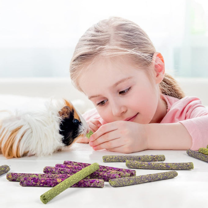 Sofier Timothy Hay Sticks 32PCS Natural Handmade Treats for Rabbit Guinea Pig Hamster Chinchilla Toy Set