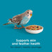 Kaytee Forti-Diet Pro Health Parakeet Food with Flaxseed, Peanuts, Blueberries, and Spinach, 2 Pounds, Comprehensive Nutrition