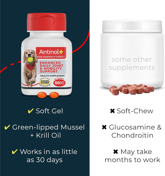Antinol Plus Dog Joint Supplement with Green-Lipped Mussels and Krill Oil for Mobility and Health