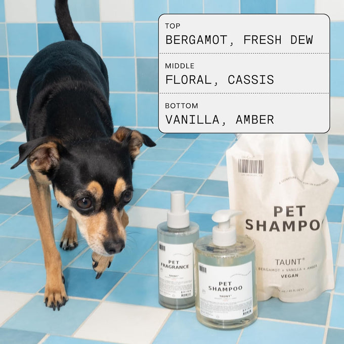 DedCool 01 Taunt Clean Luxury Pet Perfume for Dogs 8.5 fl oz Non-Toxic Vegan Deodorizing Spray